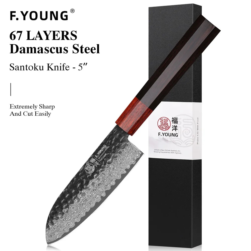 F.YOUNG Hand-Forged Japanese Chef Knife