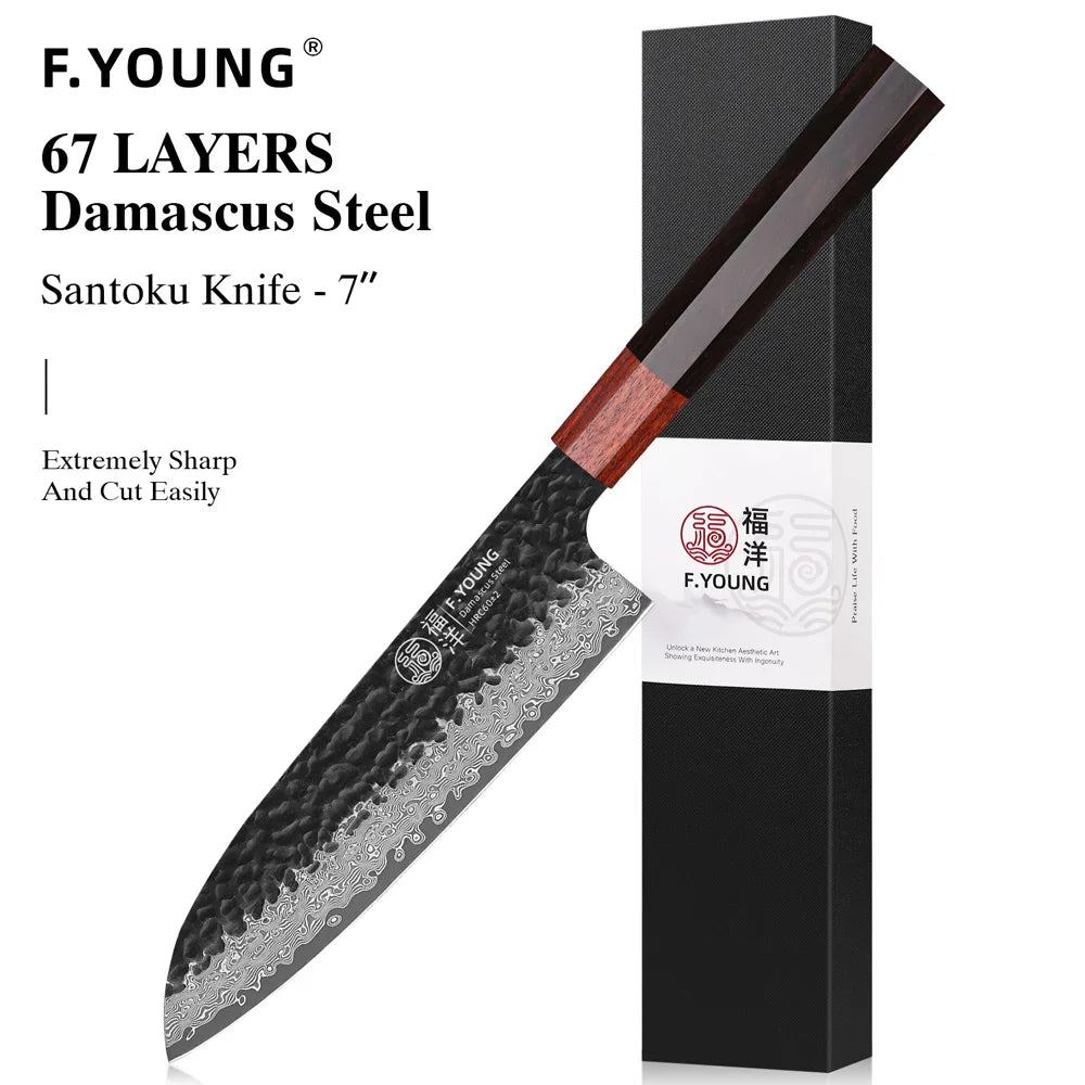 F.YOUNG Hand-Forged Japanese Chef Knife