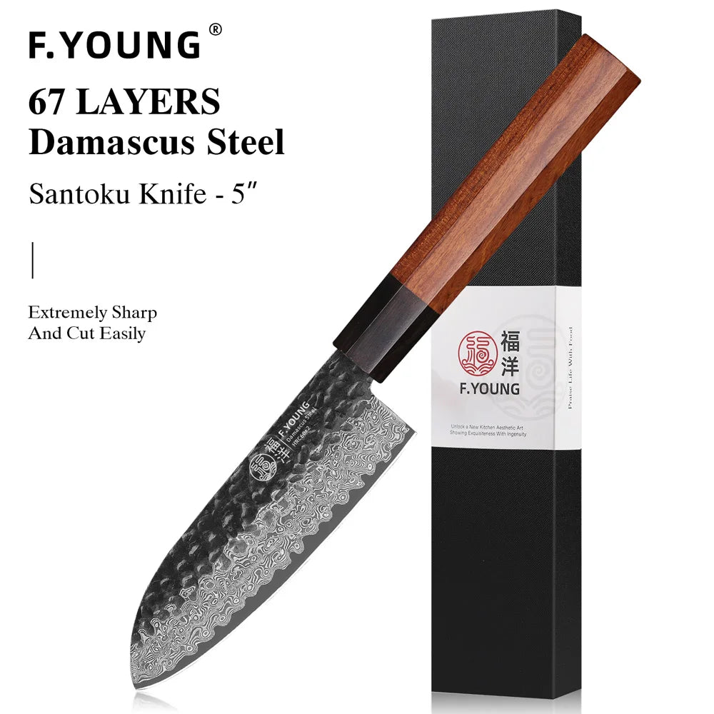 F.YOUNG Takumi Damascus Chef Knife